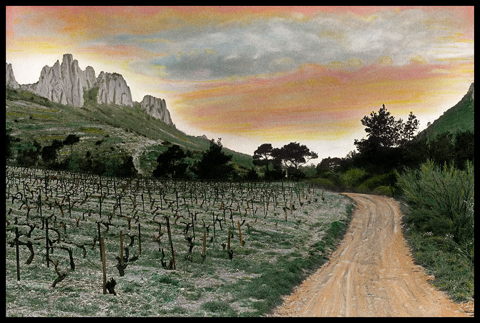 Image of vineyard in Gigondas in France with a mountain range in background